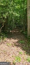 5 Goldmine Road Property Photo 5