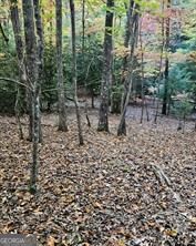 5 Goldmine Road Property Photo 8