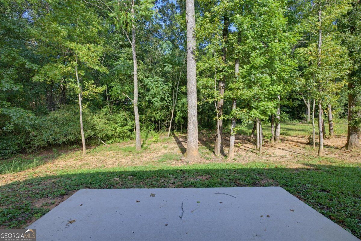 2320 Spring Brook Drive Property Photo 34