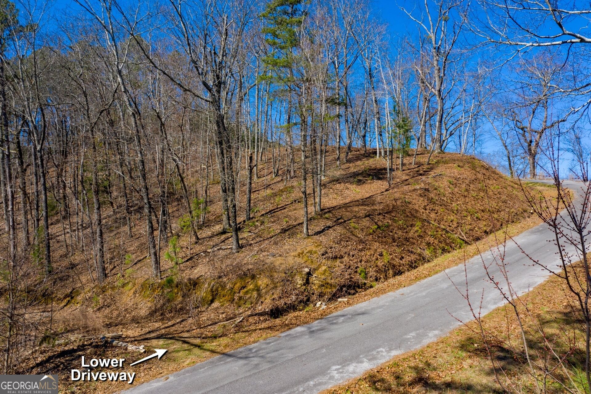 278 Carters Overlook Drive # 28 Property Photo 11