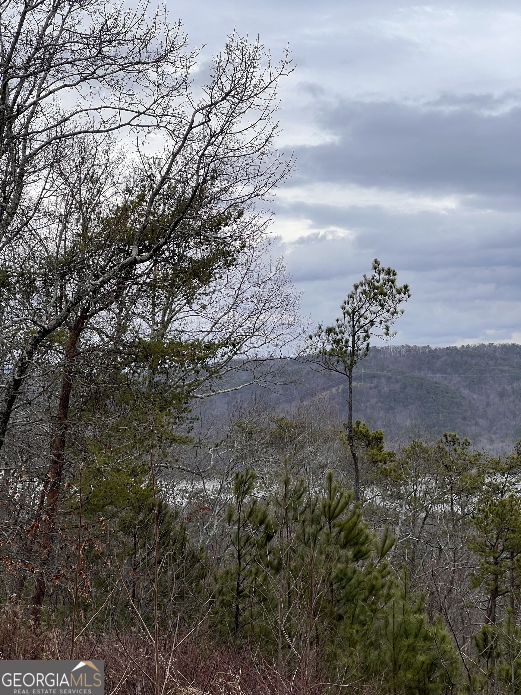 278 Carters Overlook Drive # 28 Property Photo 13
