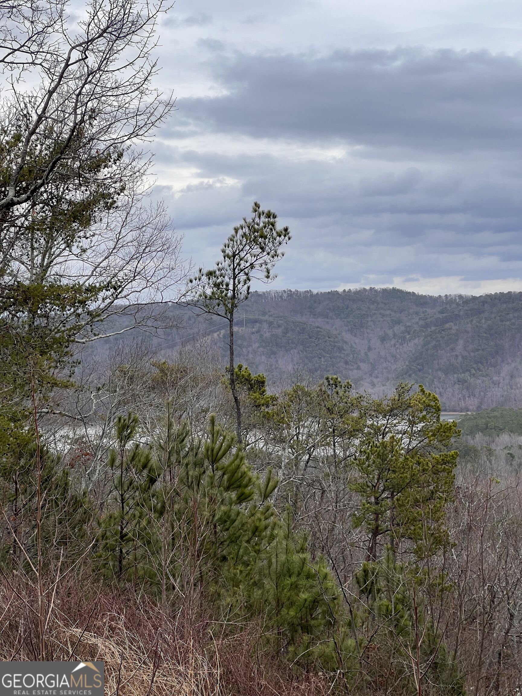 278 Carters Overlook Drive # 28 Property Photo 15