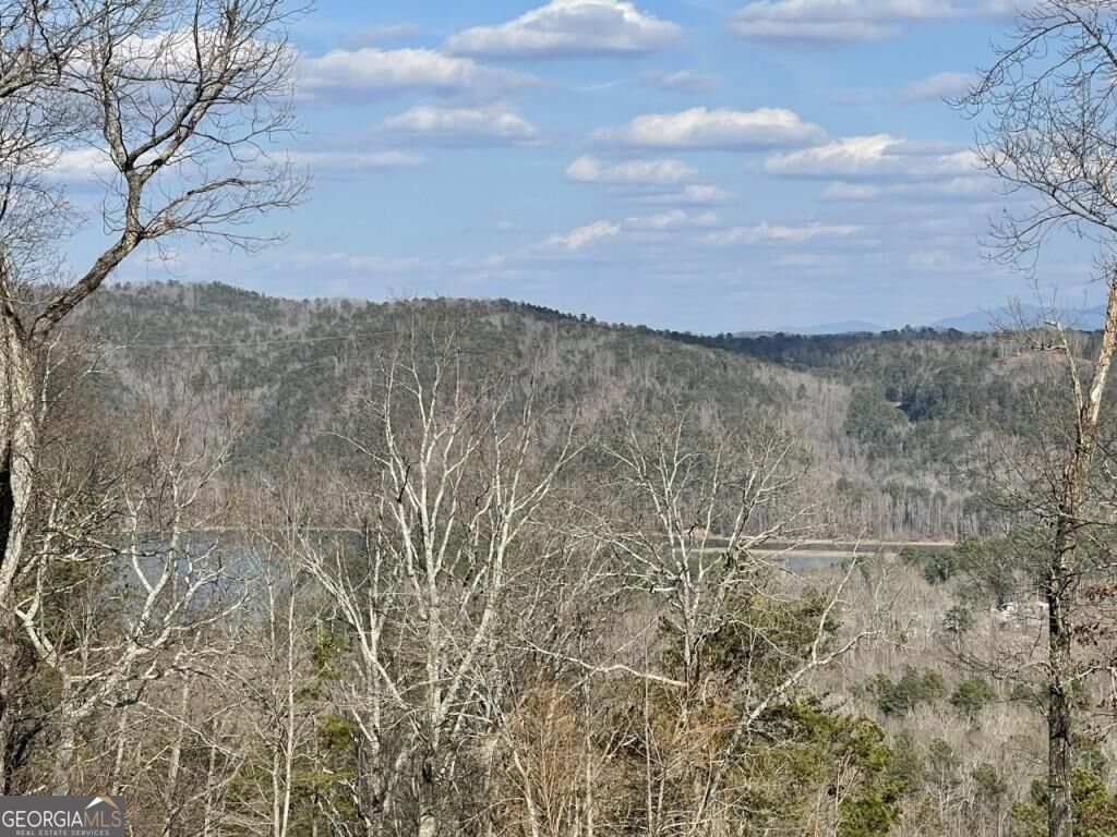 278 Carters Overlook Drive # 28 Property Photo 16