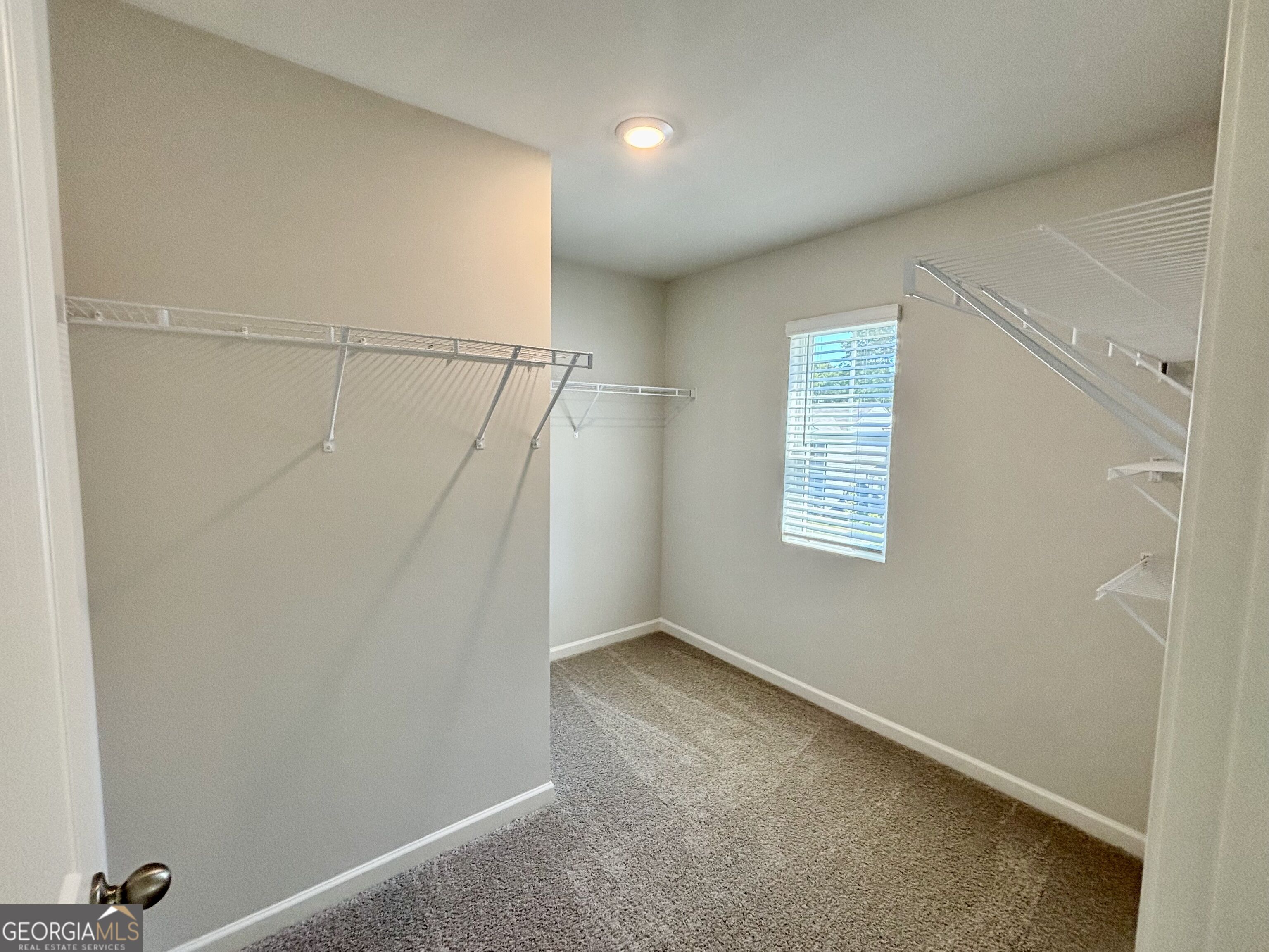 2910 Daxton Lane Property Photo 11