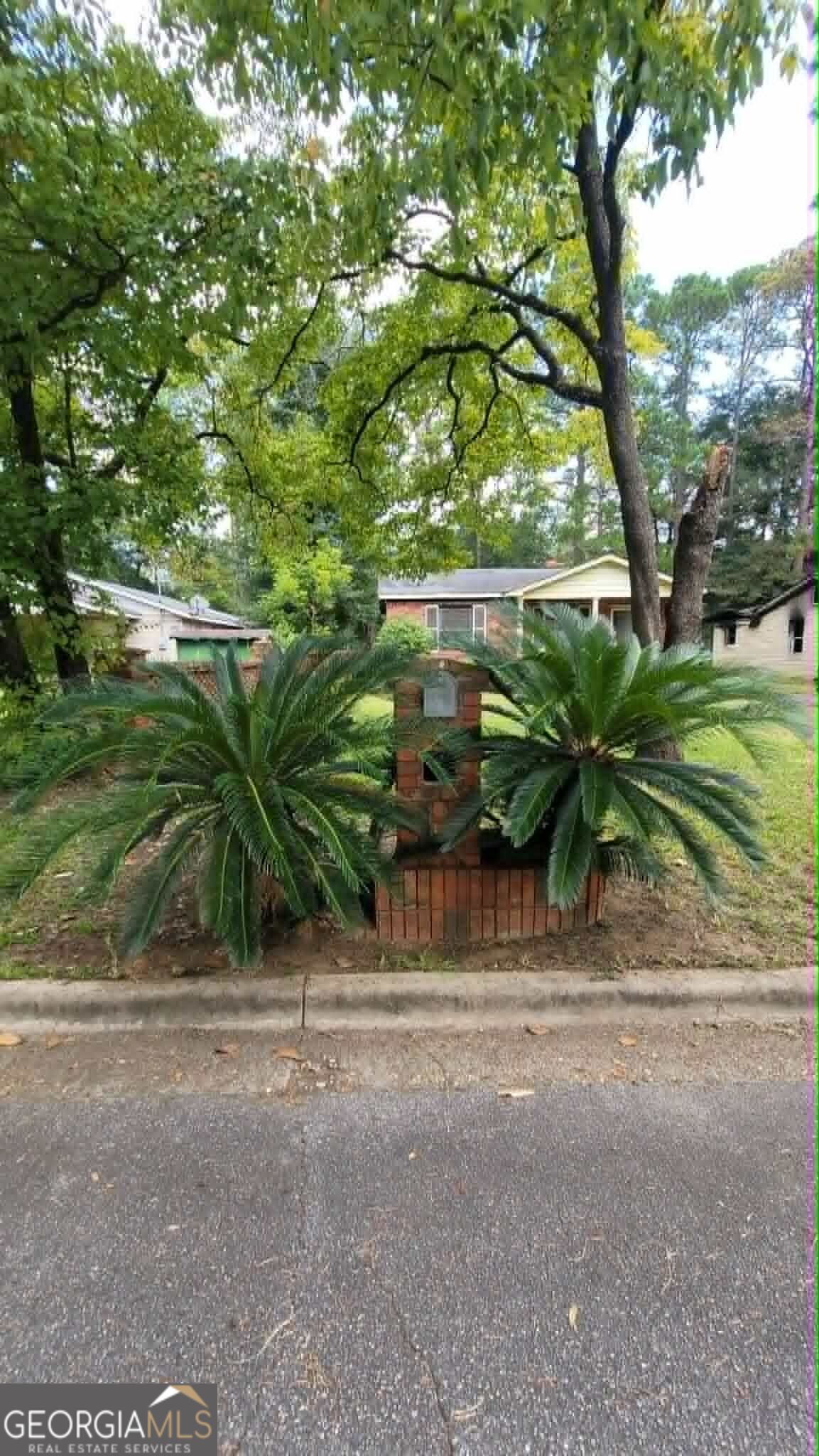 917 Odom Avenue Property Photo 43