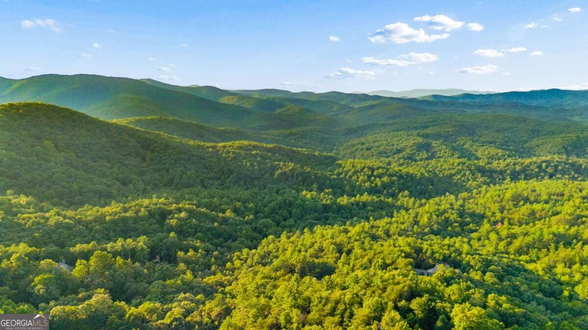 252 Wild Turkey Bluffs Property Photo 63
