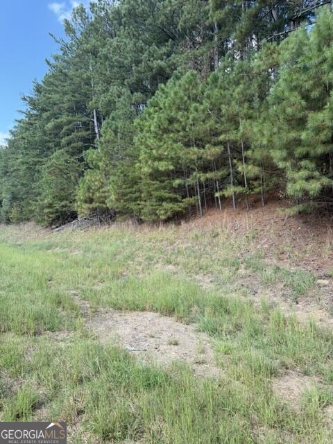0 Fairview Road Property Photo 3