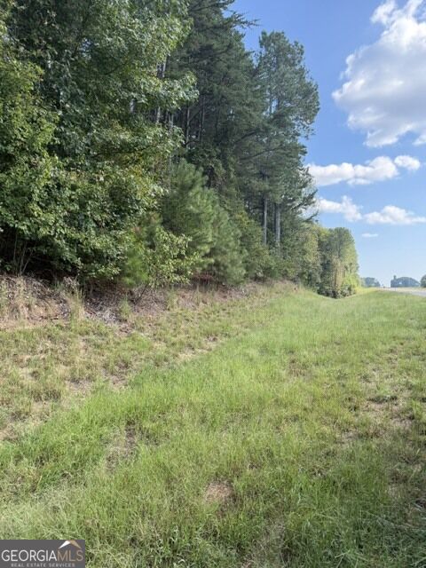 0 Fairview Road Property Photo 4