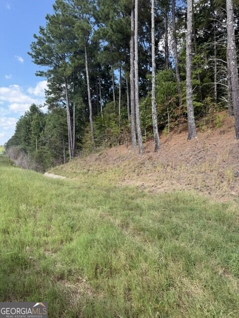0 Fairview Road Property Photo 5