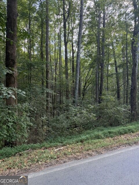 0 Fairview Road Property Photo 7