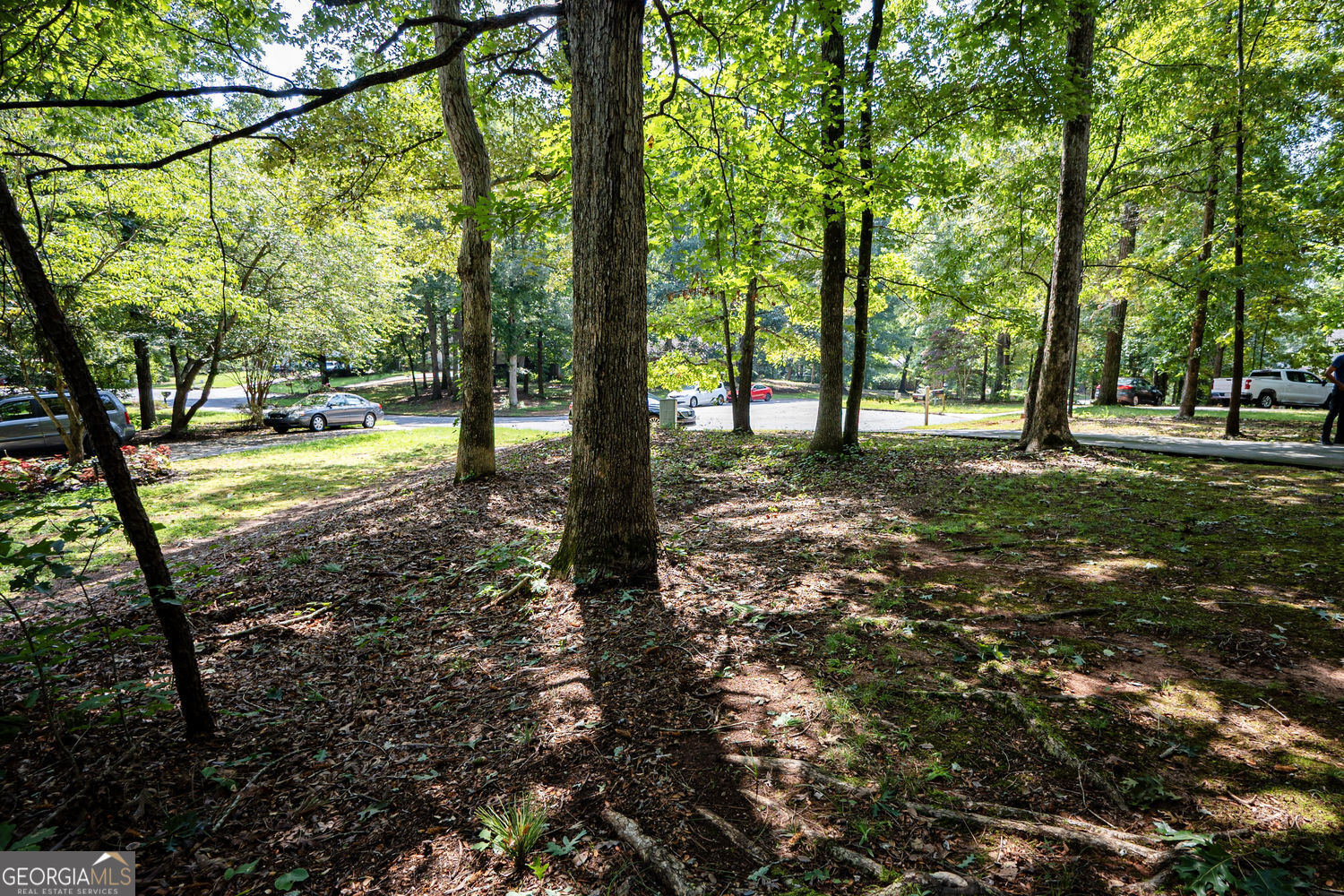 405 Radcliffe Trace Property Photo 62