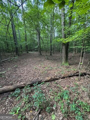184 W Mcbride Road Property Photo 1