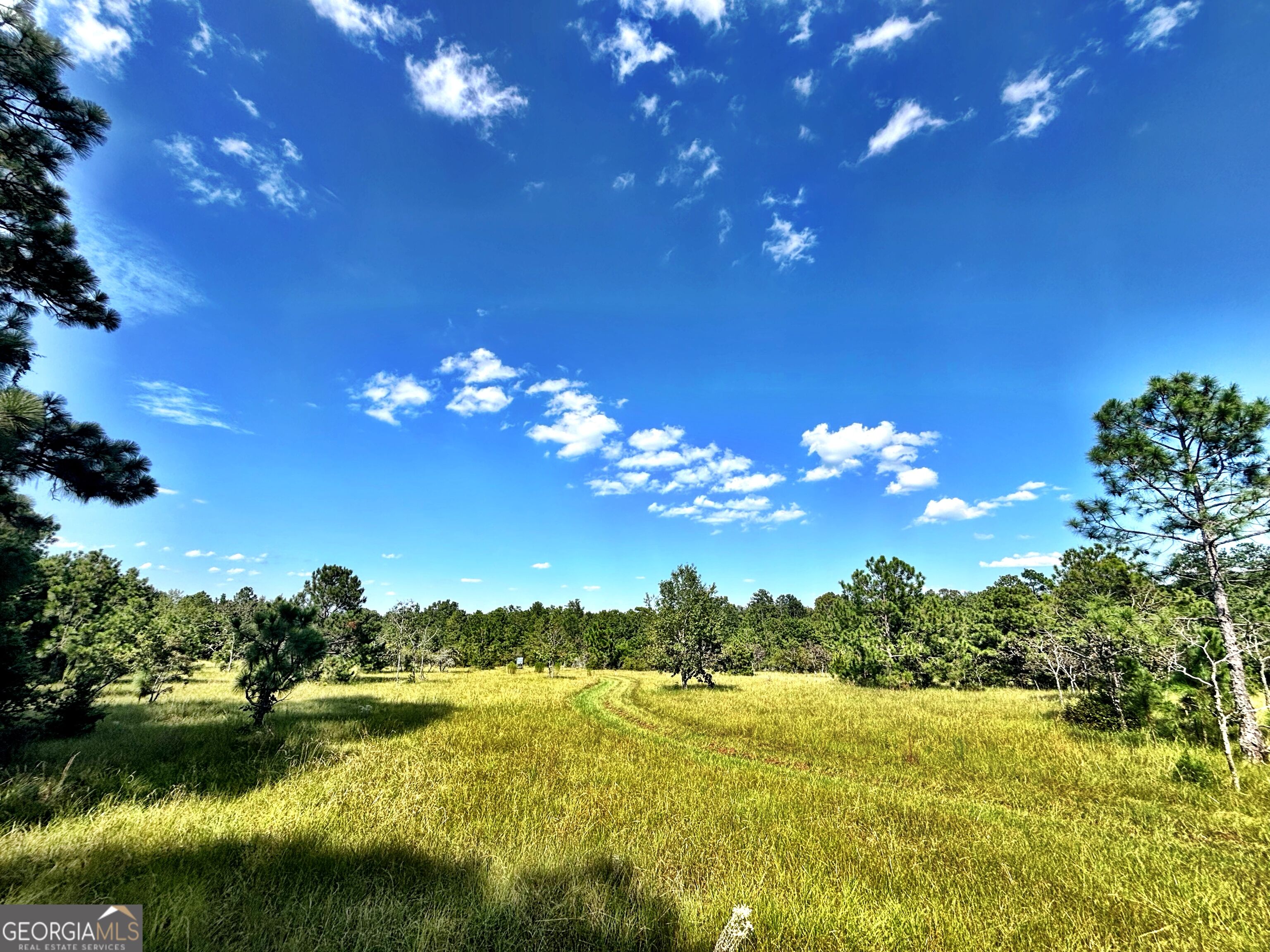 1721 Hwy 49 Property Photo 1