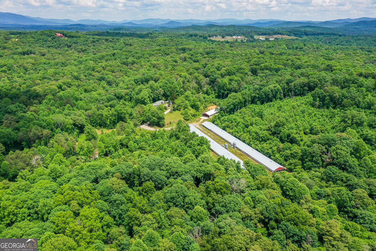 1010 Painter Road Property Photo 24