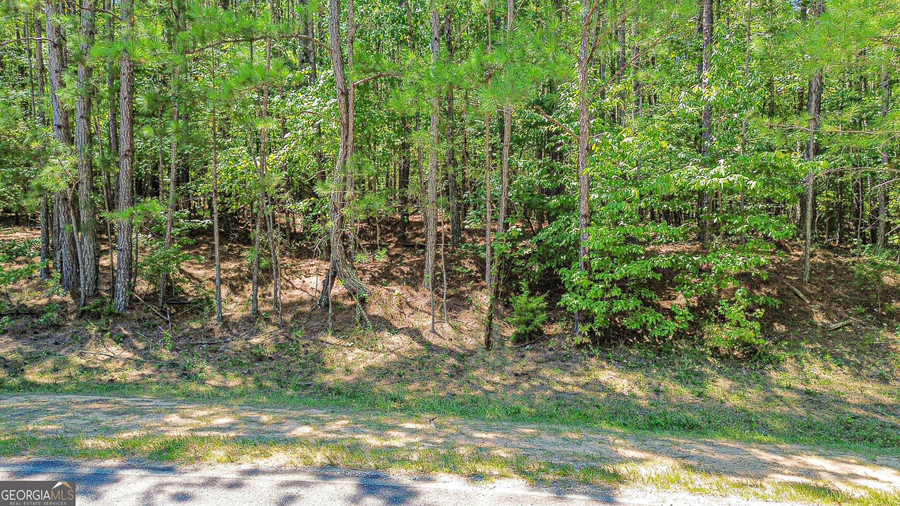 288 Pope Trail Property Photo 6