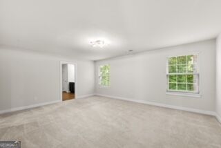 1049 Climbing Rose Way Property Photo 21