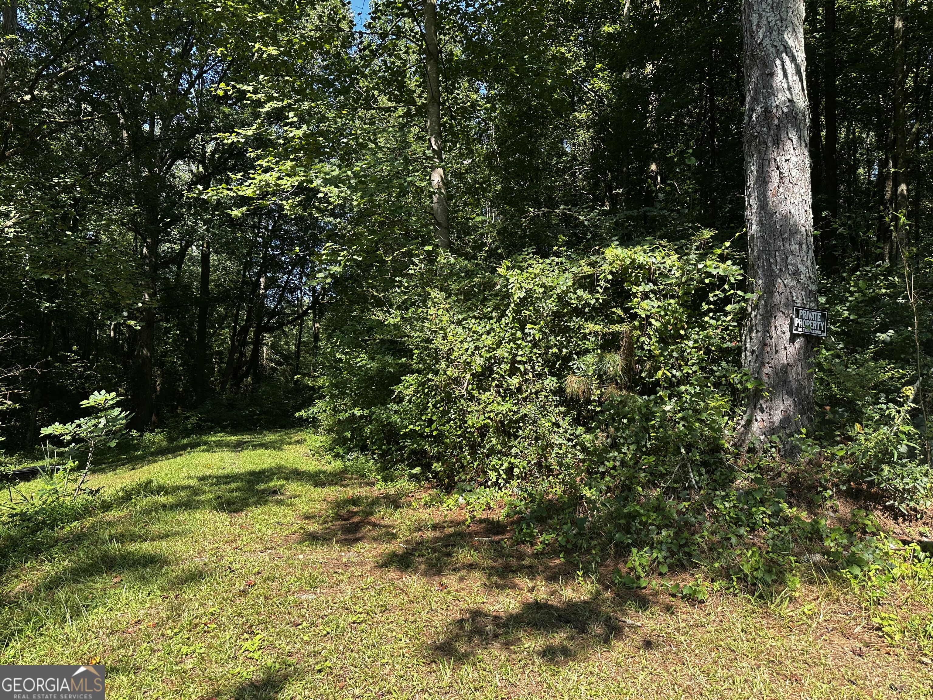 0 Overbrook Drive Property Photo 1