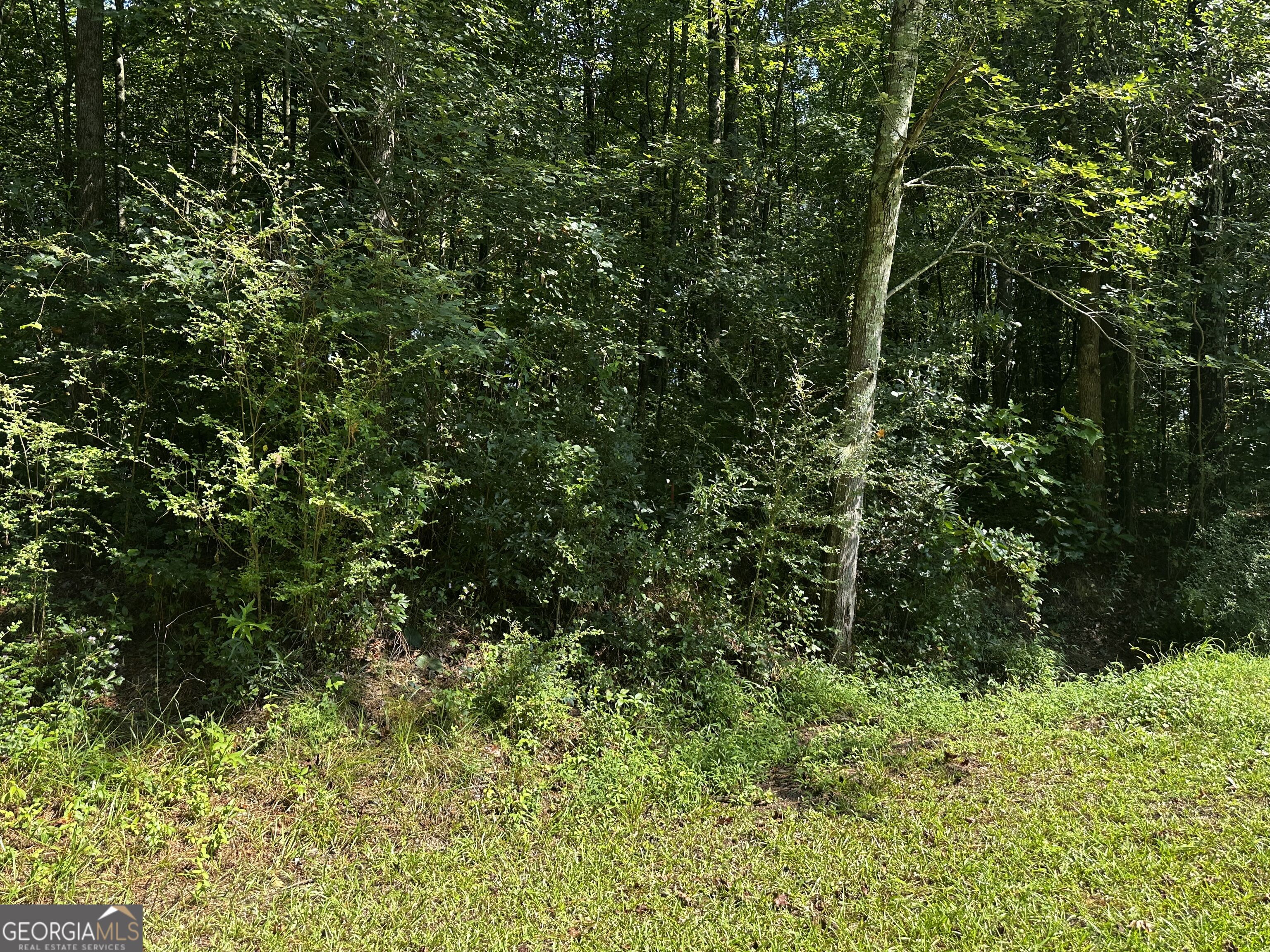 0 Overbrook Drive Property Photo 2