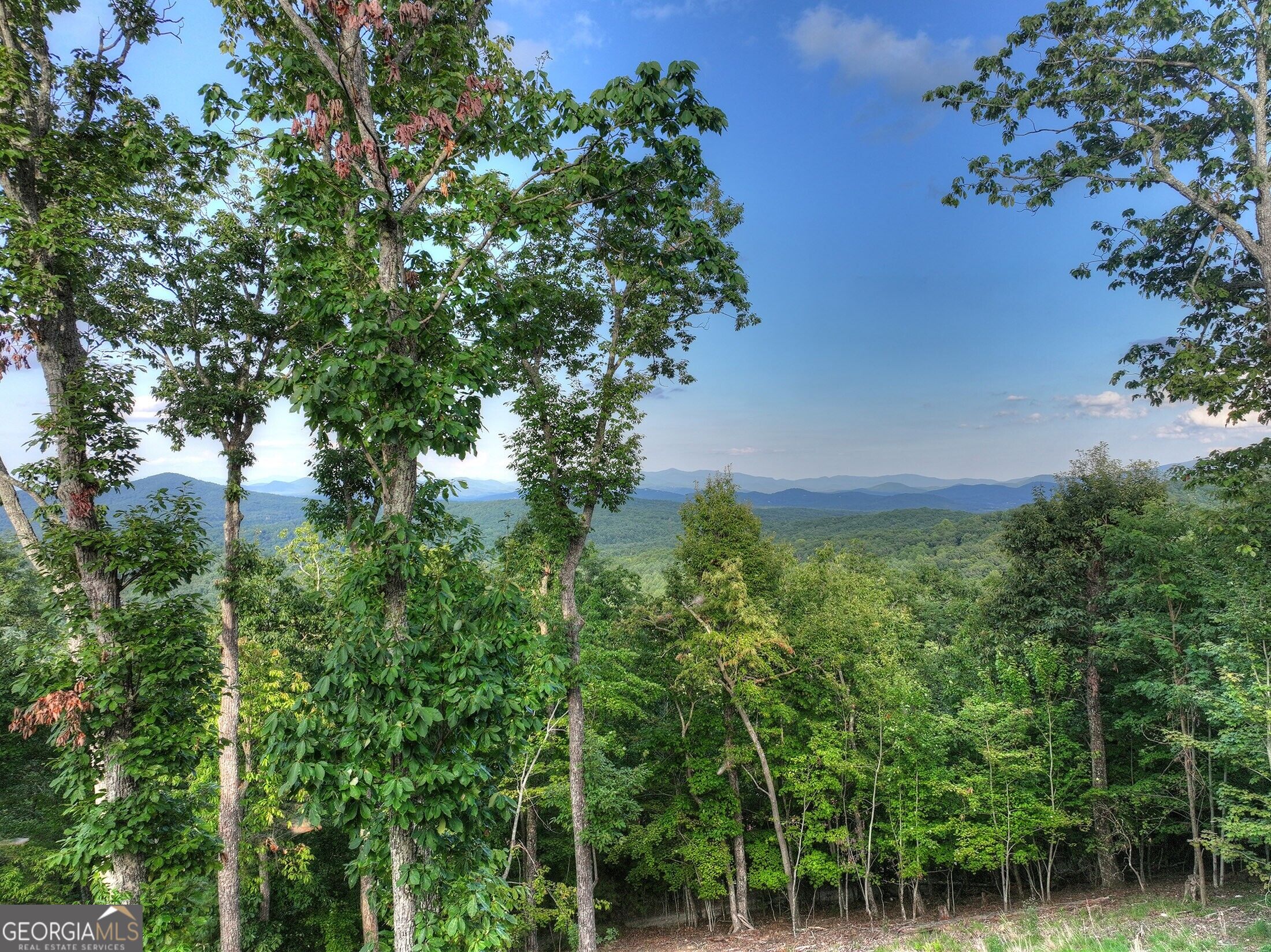 224 Eagle Ridge Property Photo 27