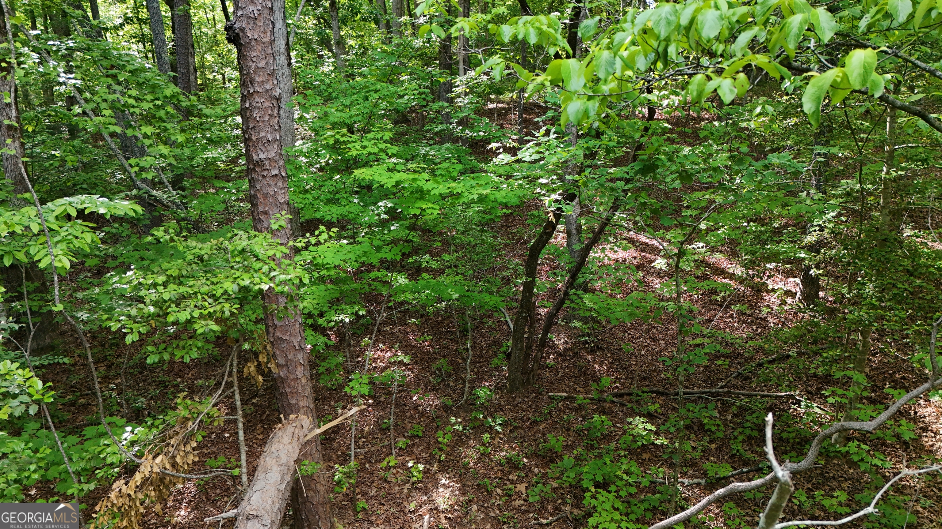 0 Terry Court Property Photo 5