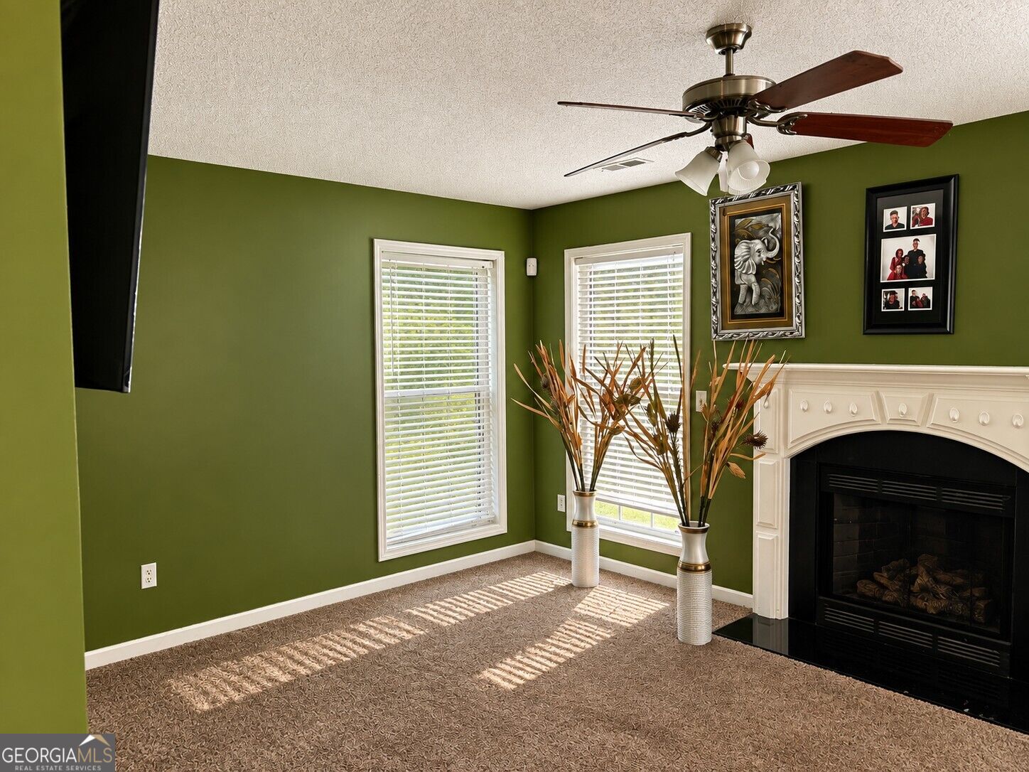 1393 Amaryllis Way Property Photo 12