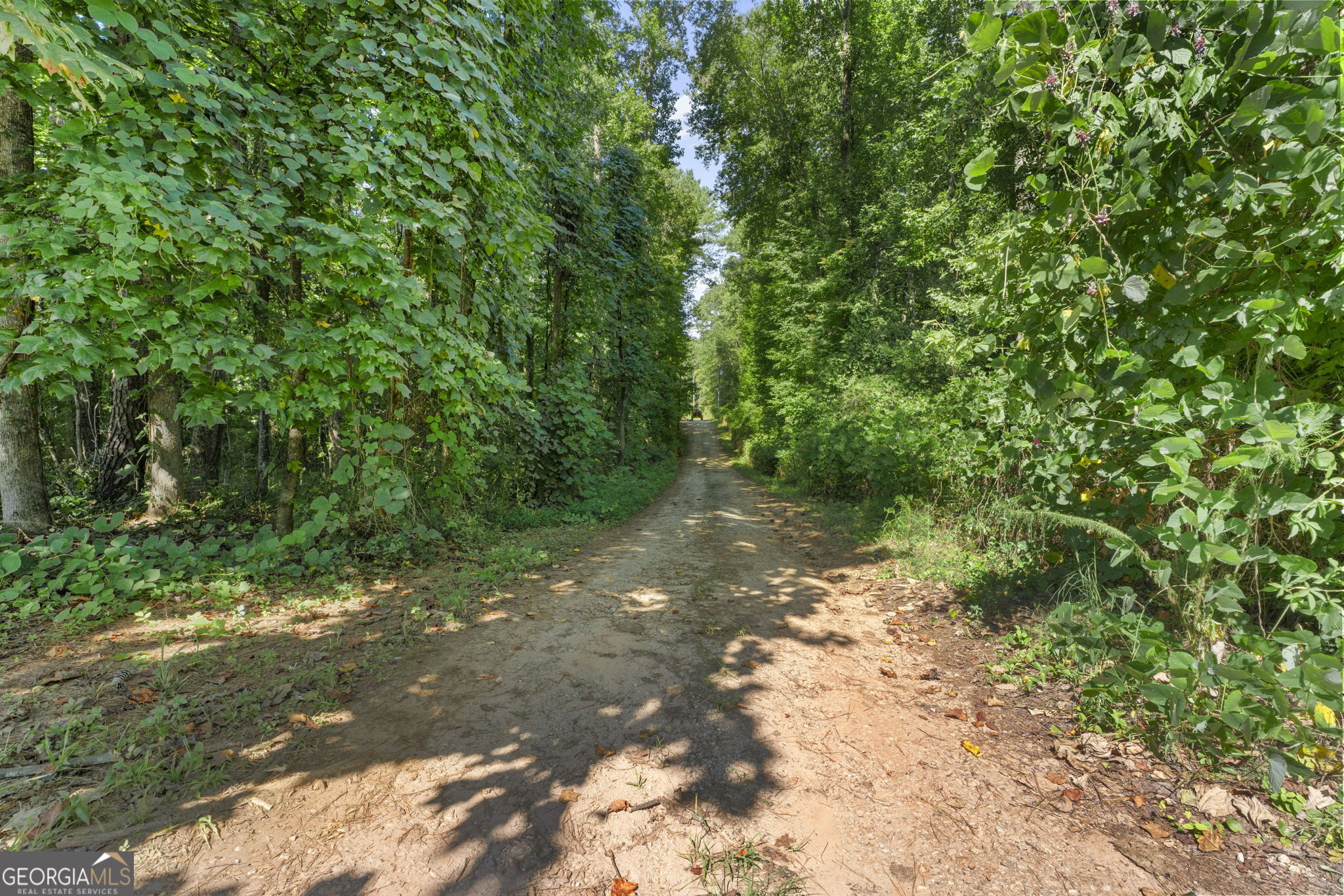 735 Chambers Road Property Photo 40