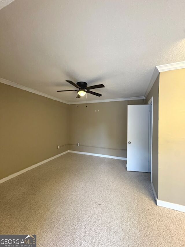 736 Carroll Street Ste 5 Property Photo 2