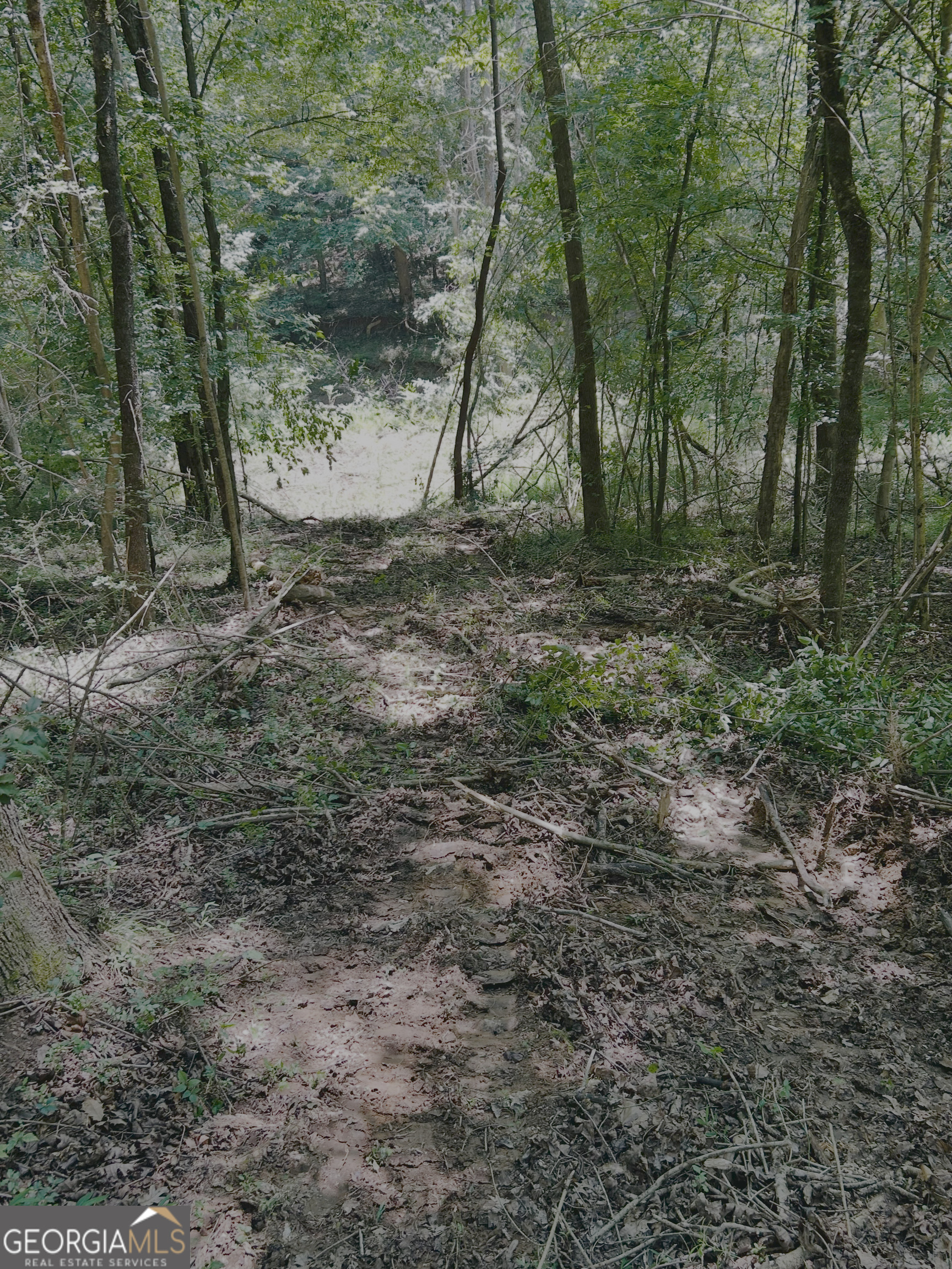 4542 E Hall Road Property Photo 9