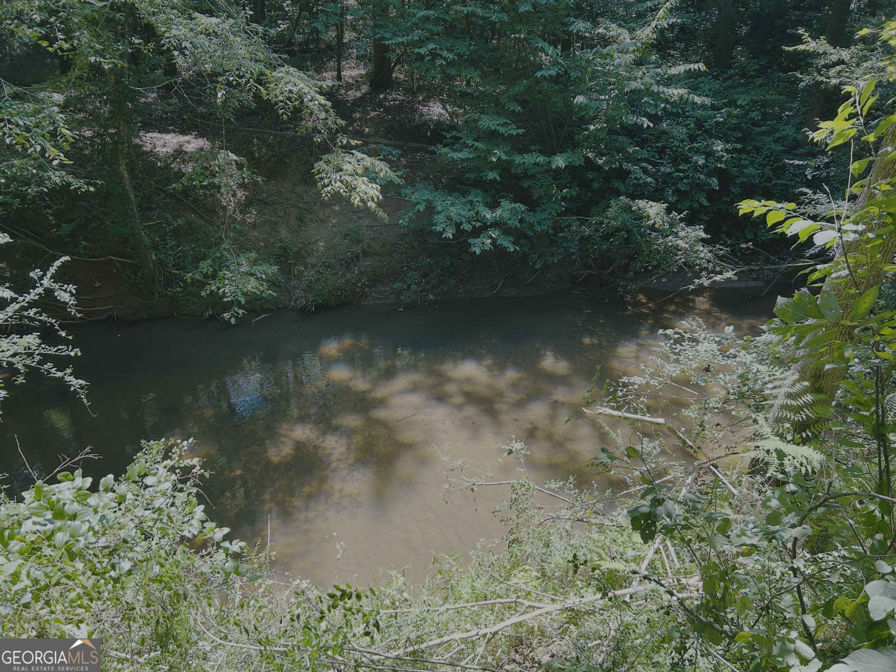 4542 E Hall Road Property Photo 10
