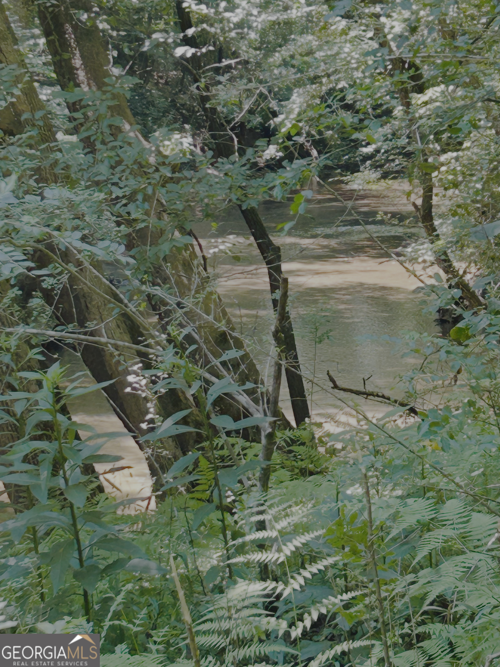 4542 E Hall Road Property Photo 11