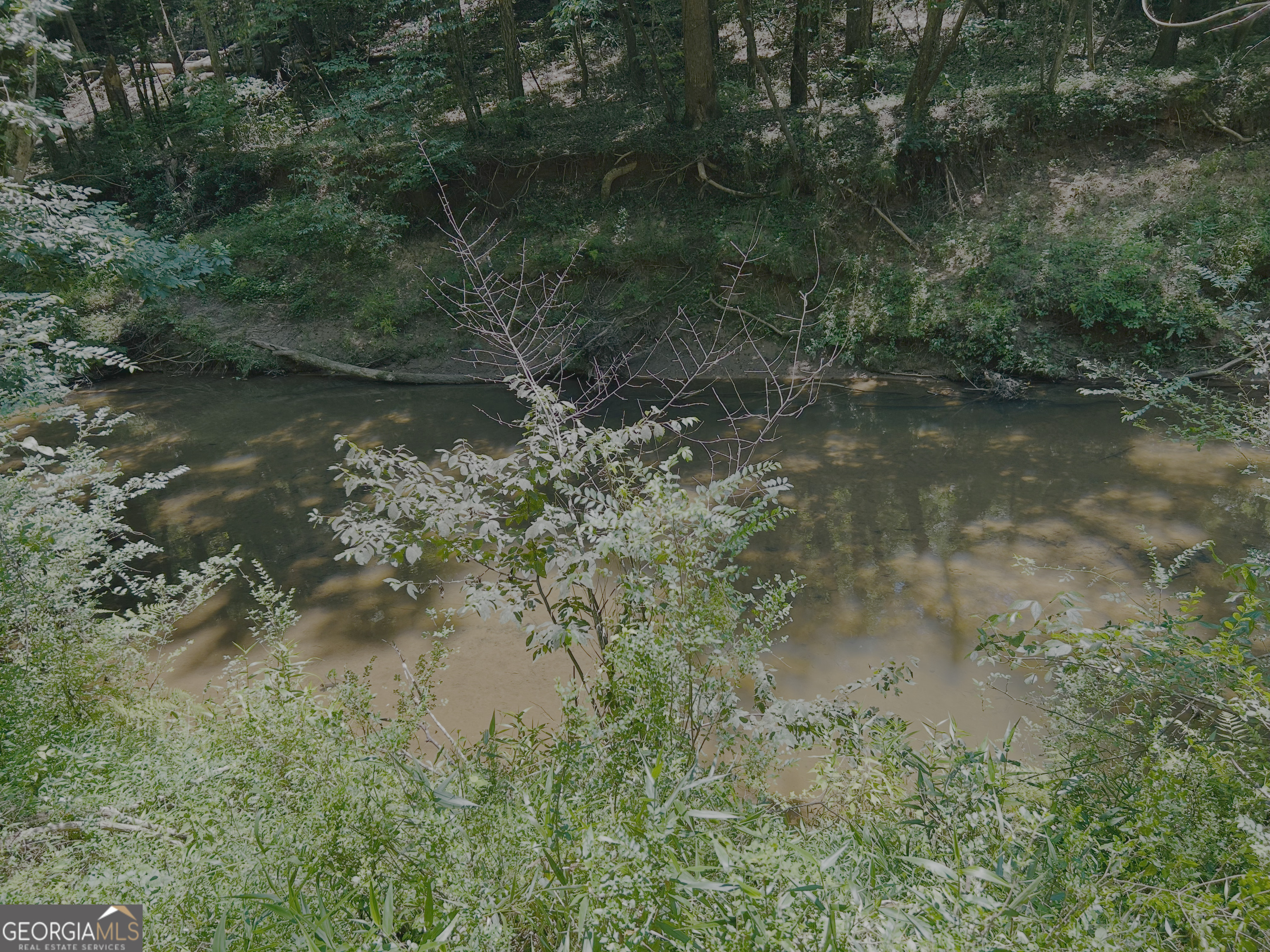 4542 E Hall Road Property Photo 13