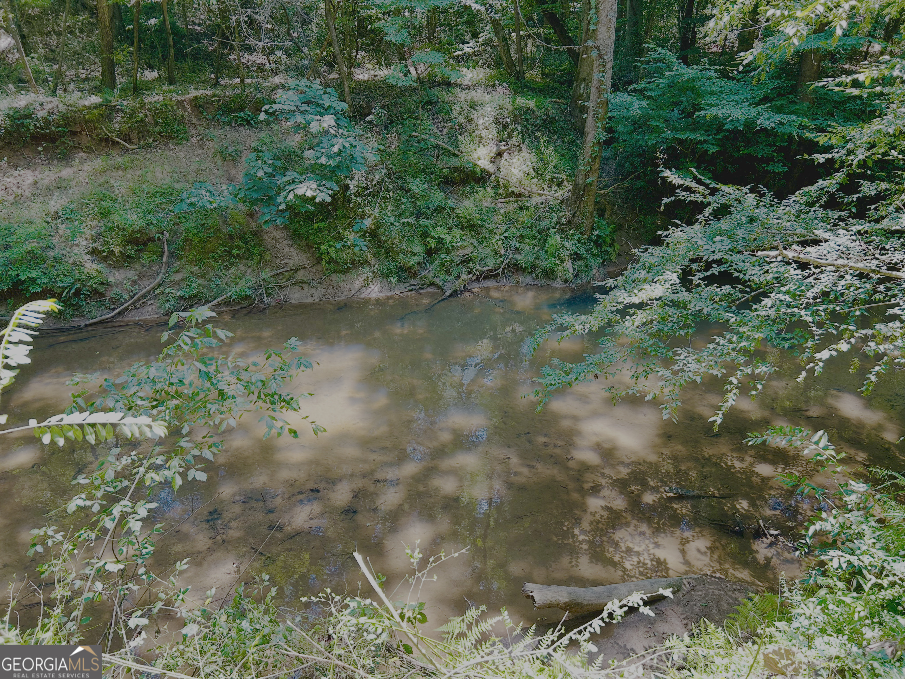 4542 E Hall Road Property Photo 14