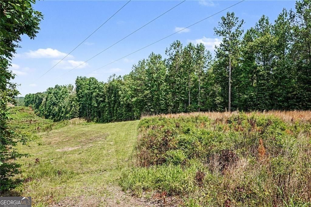 613 Millen Road Property Photo 31