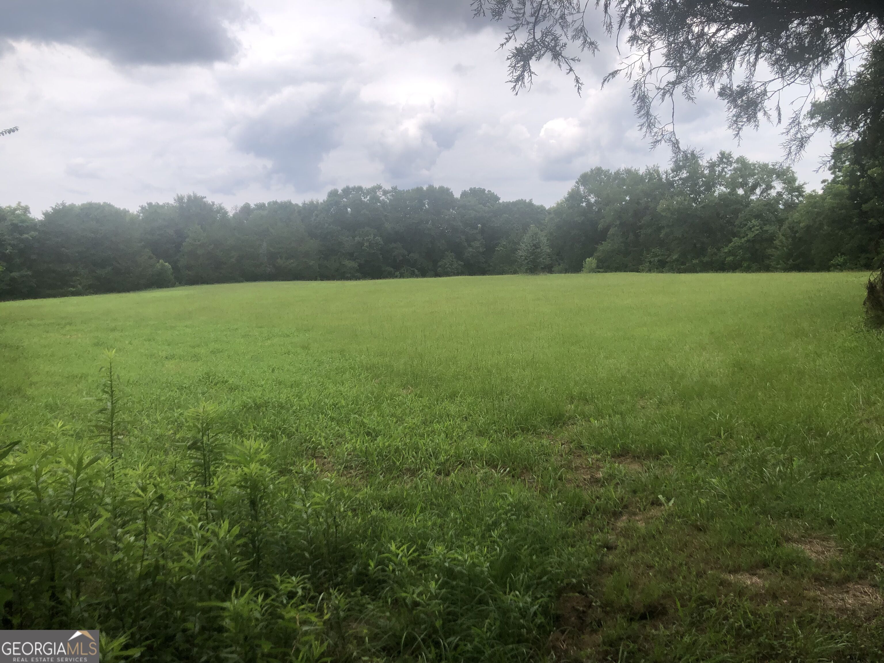 517 Trice Cemetery Road Property Photo 24