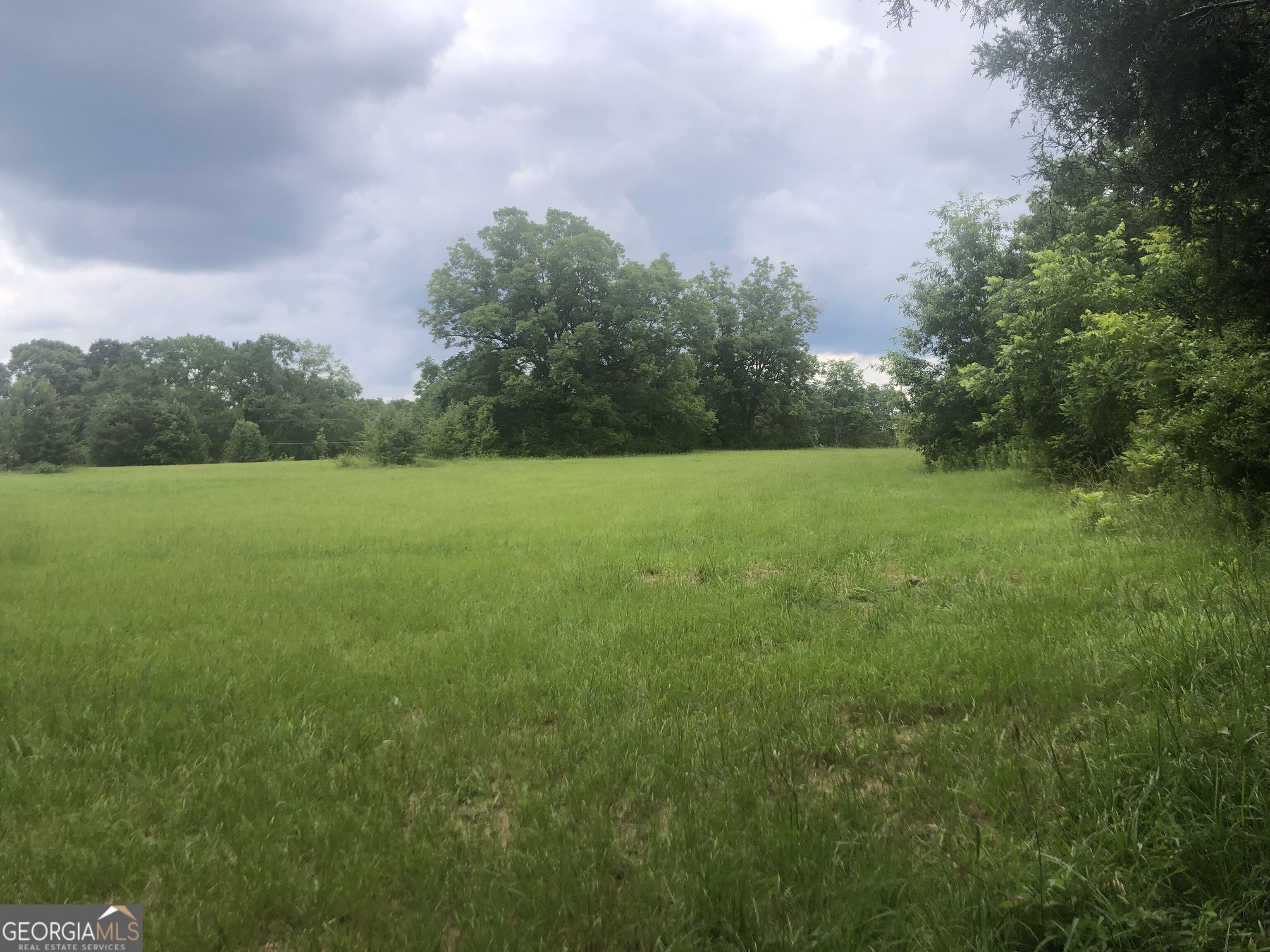 517 Trice Cemetery Road Property Photo 25