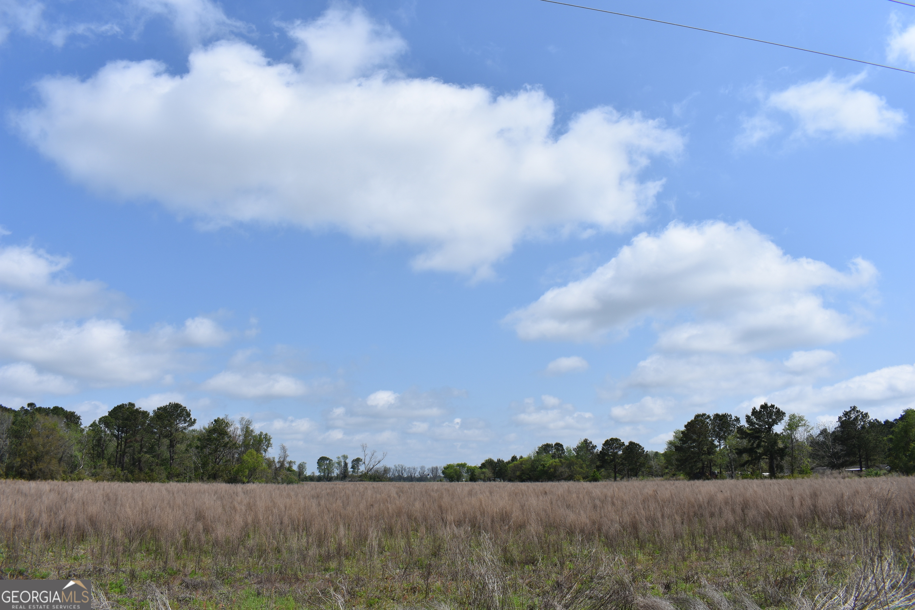 0 Oak Tree Road Property Photo 4