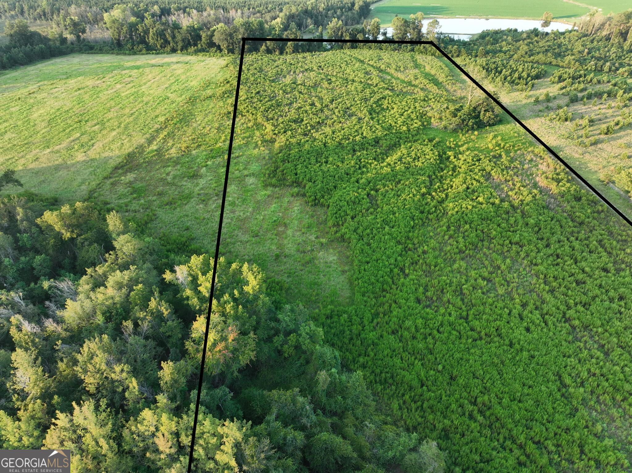 0 Oak Tree Road Property Photo 17