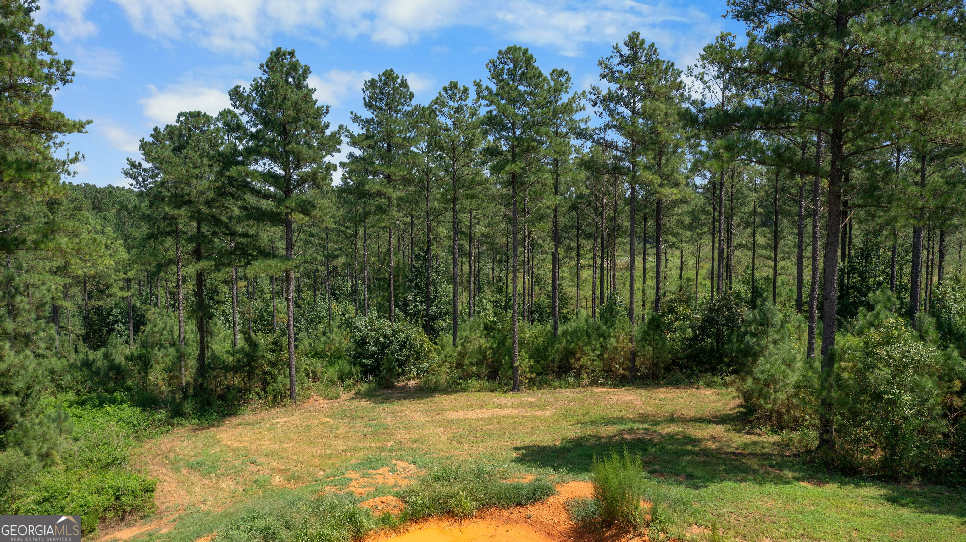 3390 Pleasant Valley Road Se Property Photo 4