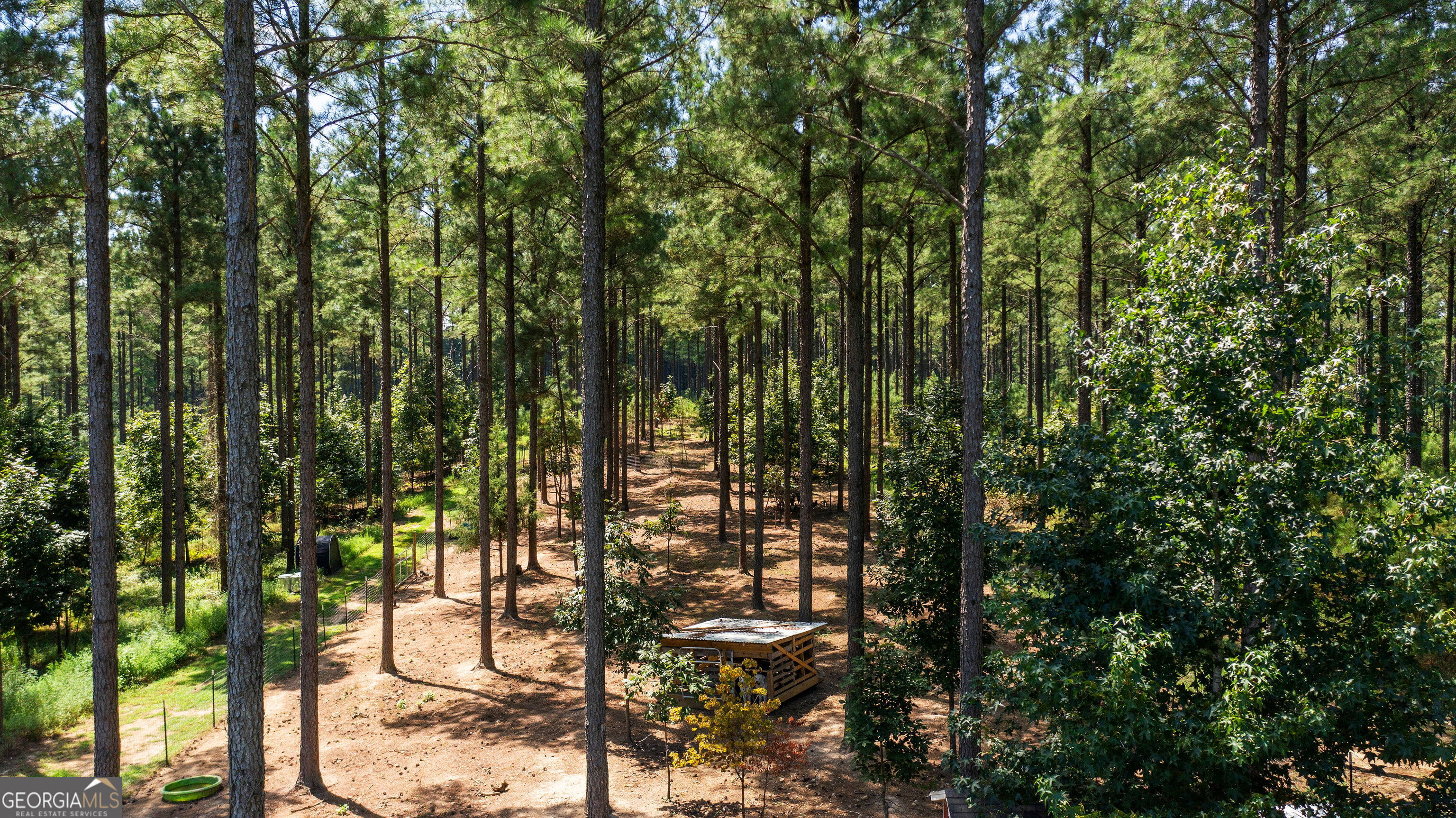 3390 Pleasant Valley Road Se Property Photo 21