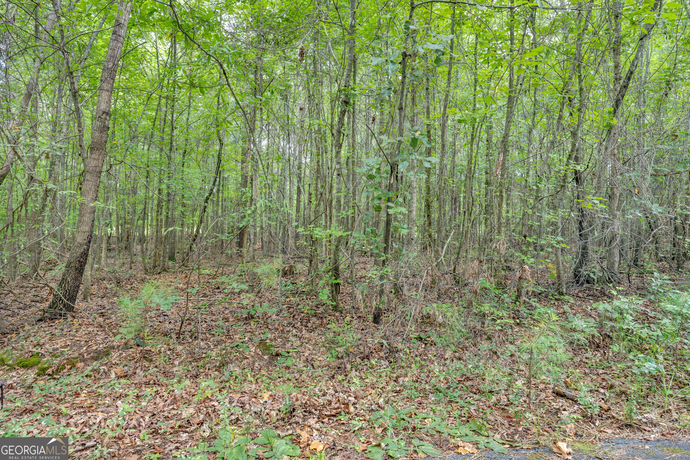 3735 Millstream Lane Property Photo 4