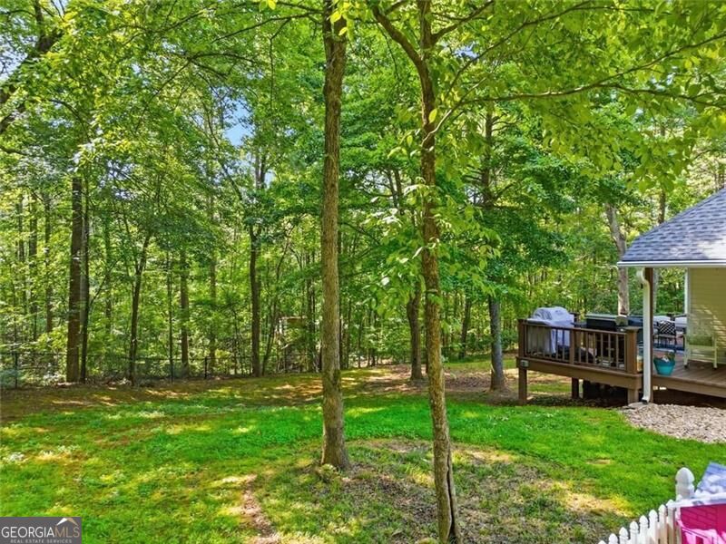 285 Hidden Branches Trail Property Photo 47