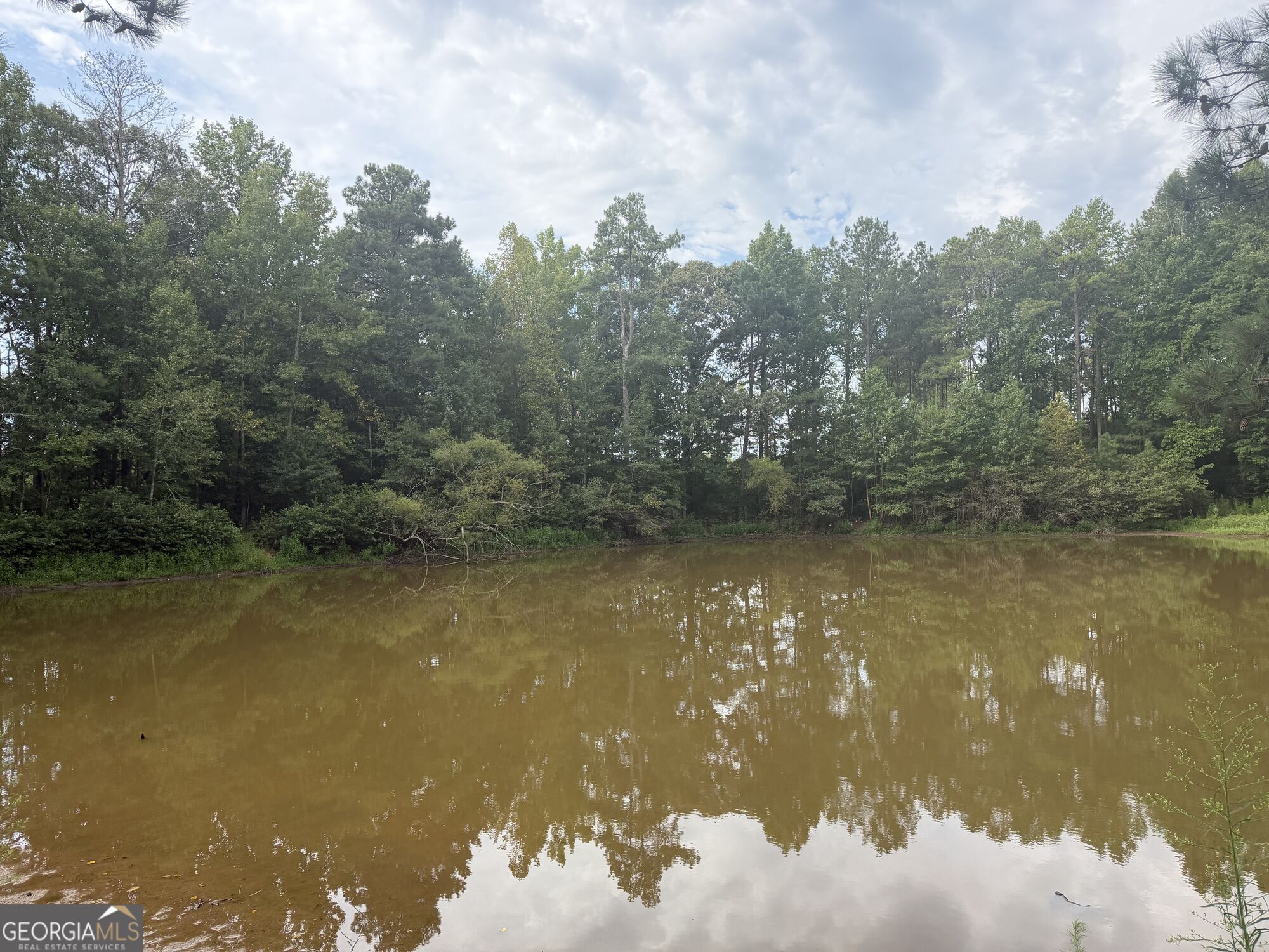 8500 Cedar Grove Road Property Photo 7