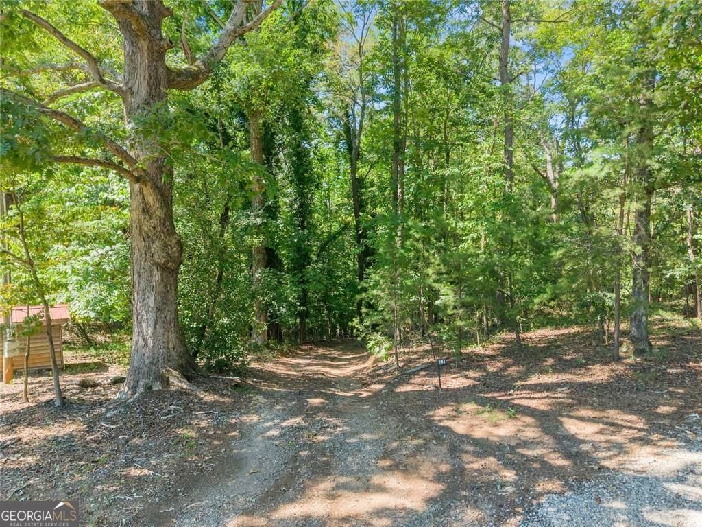 901 Peachtree Cove Property Photo 8