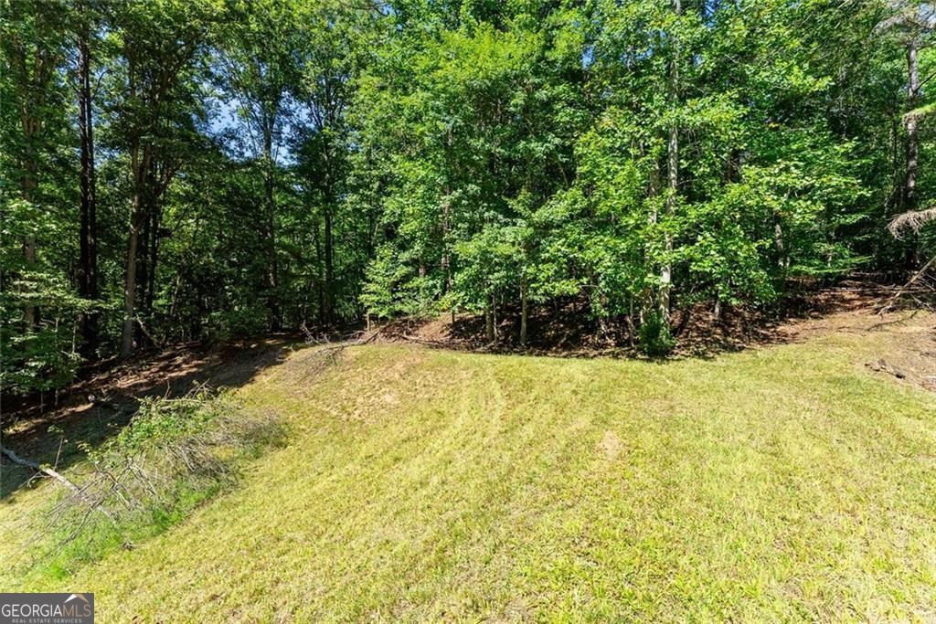 901 Peachtree Cove Property Photo 11