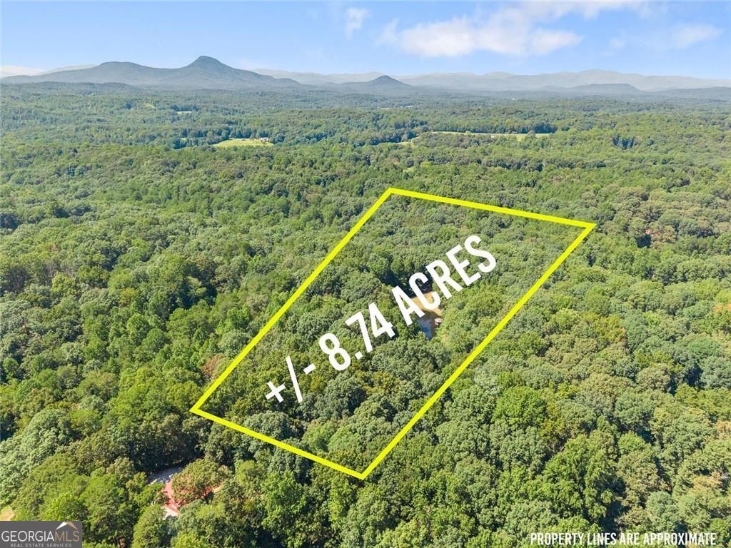 901 Peachtree Cove Property Photo 21