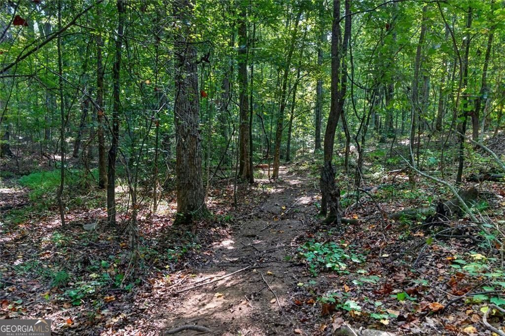 961 Birdie Road Property Photo 84