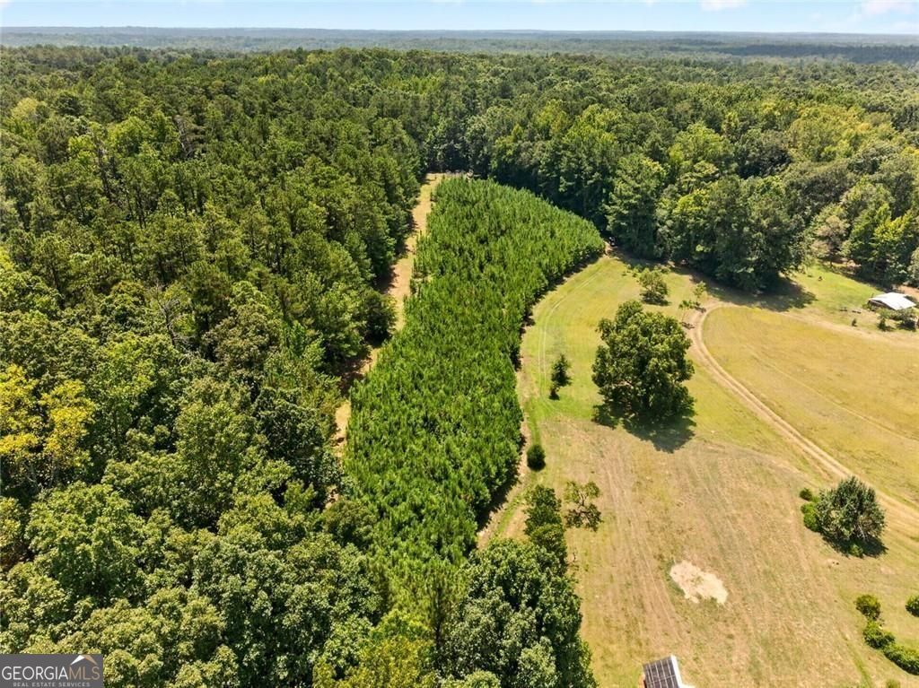 961 Birdie Road Property Photo 113
