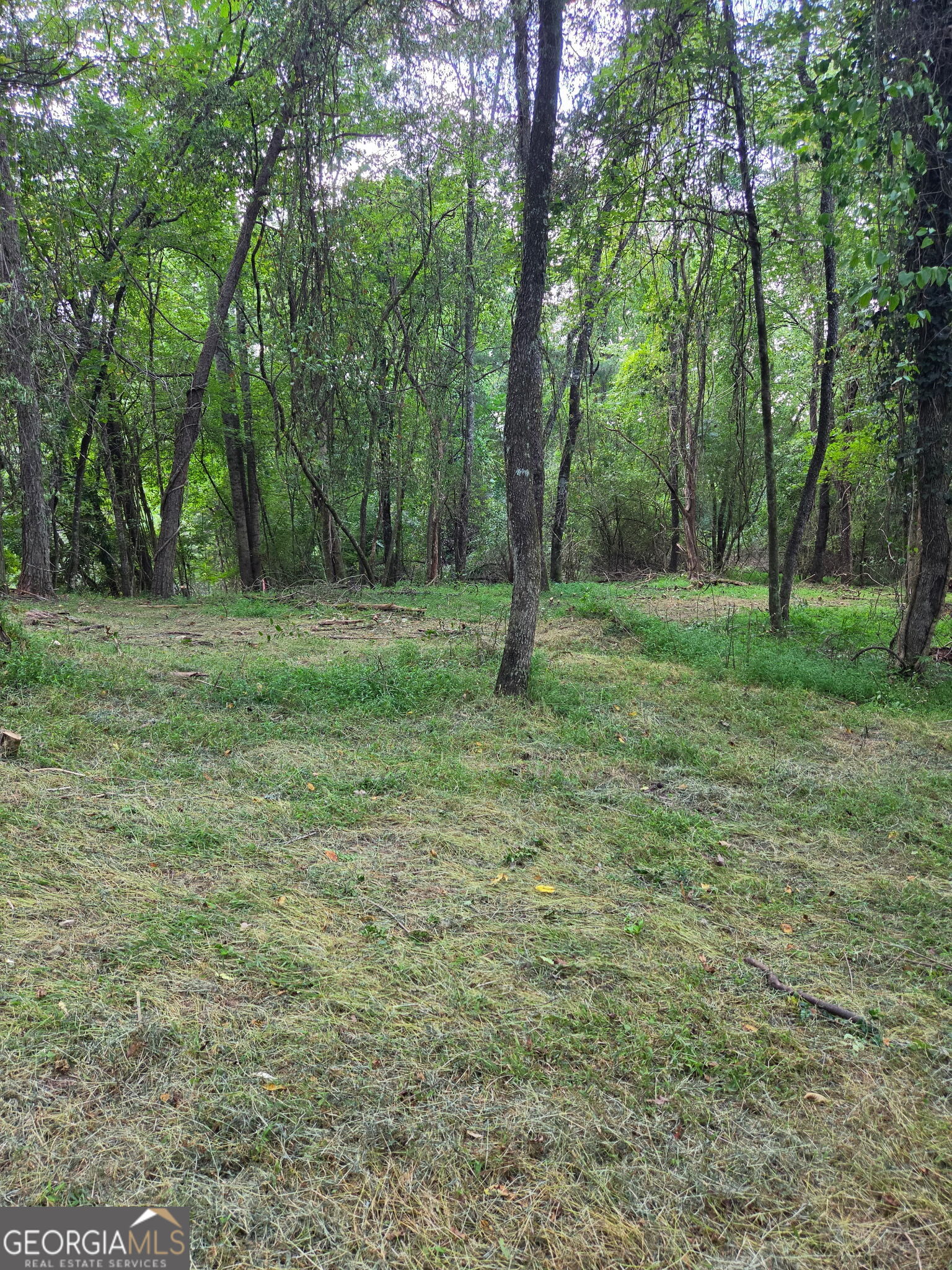 Lot 1 Thurman Street # 1 Property Photo 1