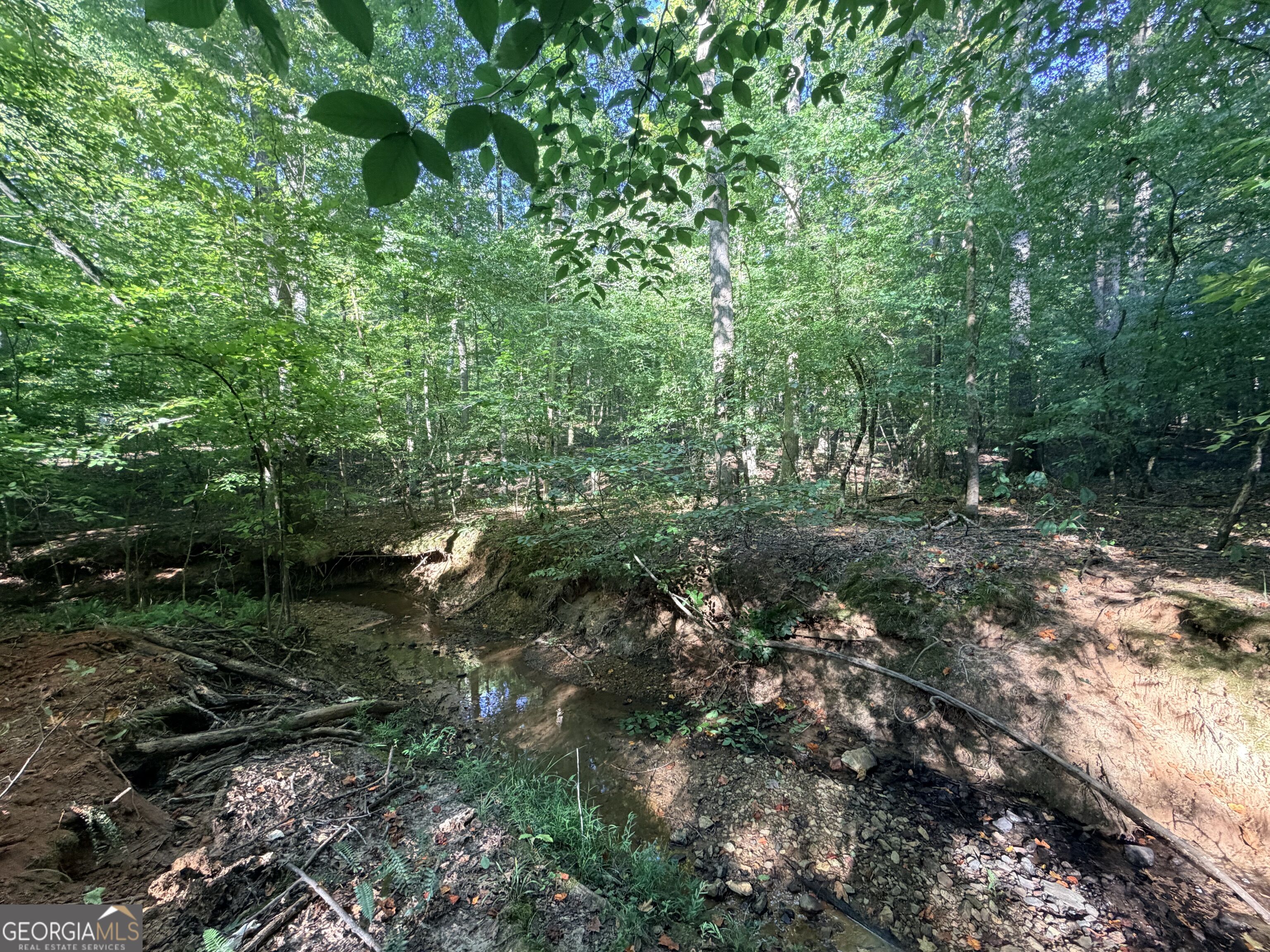 8 Bunch Road Property Photo 3