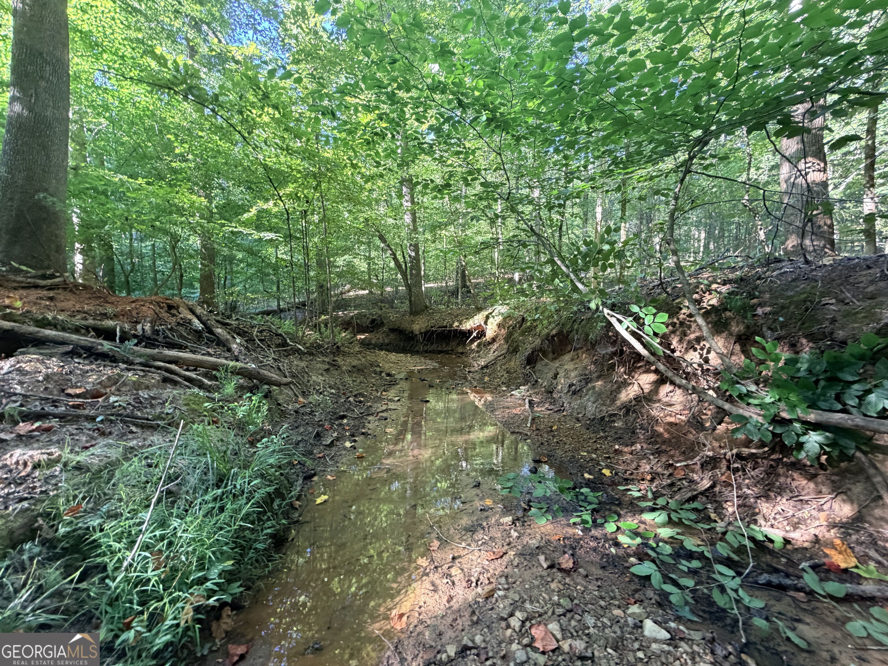 8 Bunch Road Property Photo 5